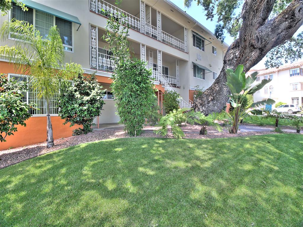 Dartmouth Oaks photo 4